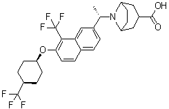 BIO-32546