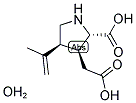 Kainic acid monohydrate