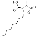 C-75 Trans