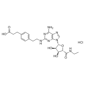 CGS 21680 HCl