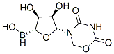 5-BrdU