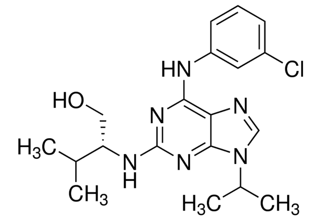 Purvalanol A