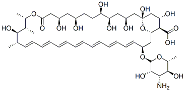 Amphotericin B