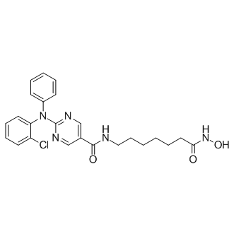 ACY-241