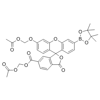 PF6-AM