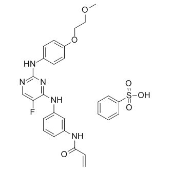 AVL-292 benzenesulfonate