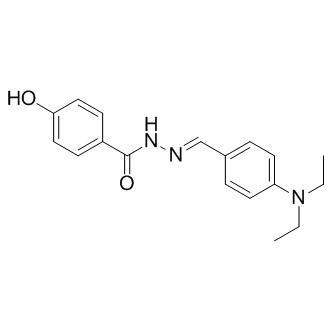 DY131