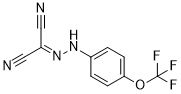 FCCP