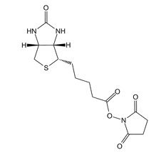 NHS-Biotin