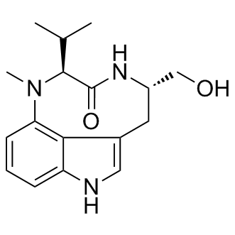 (-)-Indolactam V