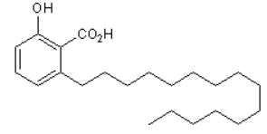 Anacardic Acid