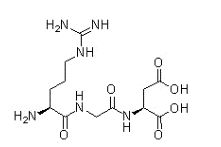 RGD (Arg-Gly-Asp) Peptides