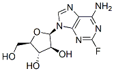 Fludarabine (Fludara)