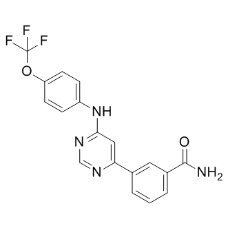 GNF 2